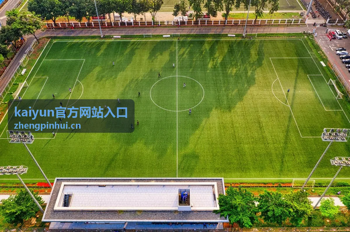 kaiyun官方网站入口功能模块的界面概览