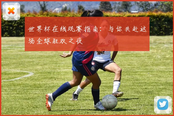 世界杯在线观赛指南：与你共赴这场全球狂欢之夜