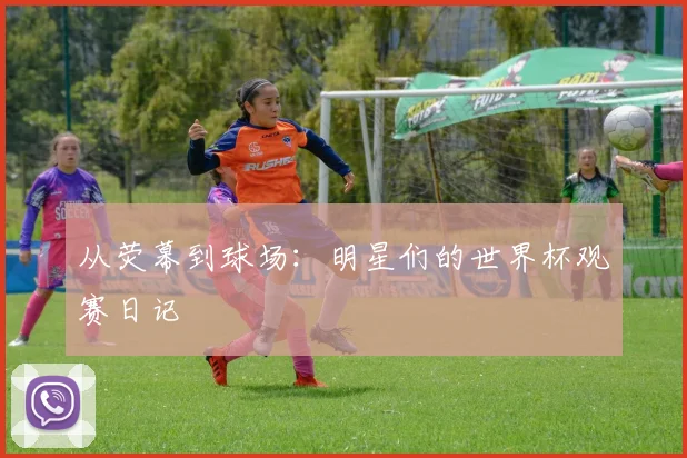 从荧幕到球场：明星们的世界杯观赛日记