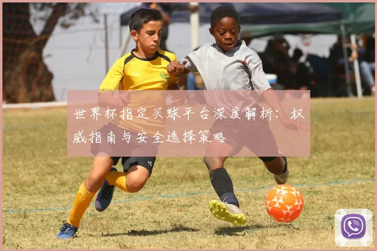 世界杯指定买球平台深度解析：权威指南与安全选择策略