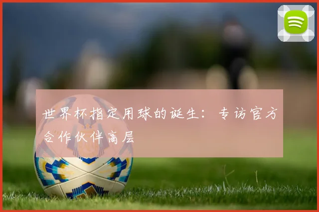 世界杯指定用球的诞生：专访官方合作伙伴高层