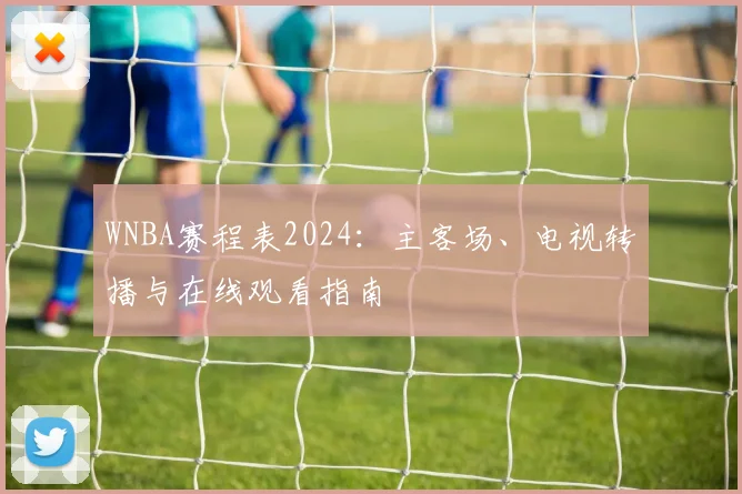 WNBA赛程表2024:主客场、电视转播与在线观看指南