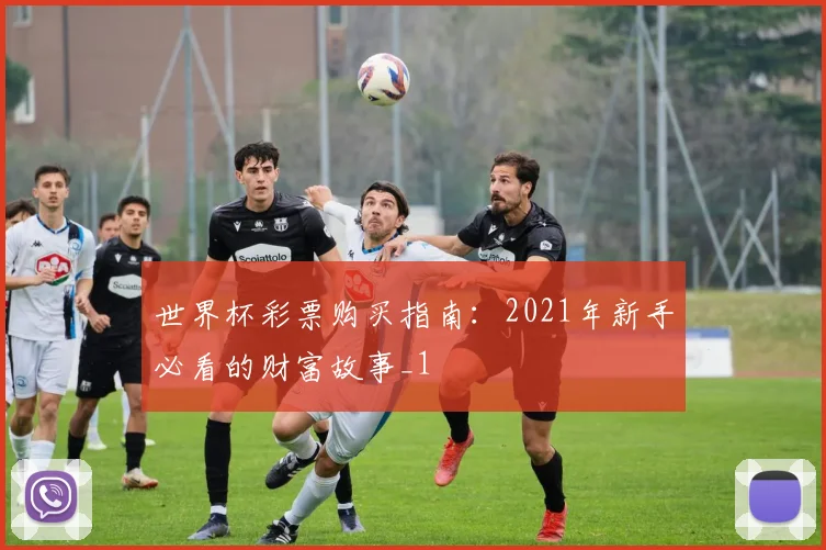 世界杯彩票购买指南：2021年新手必看的财富故事_1
