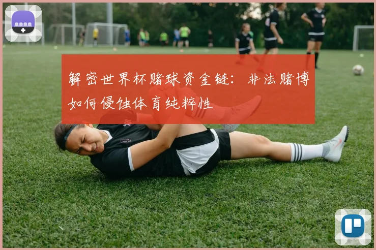 解密世界杯赌球资金链：非法赌博如何侵蚀体育纯粹性
