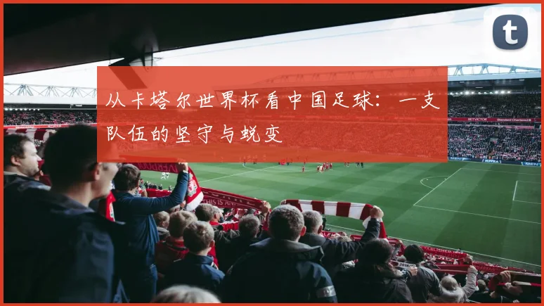 从卡塔尔世界杯看中国足球：一支队伍的坚守与蜕变